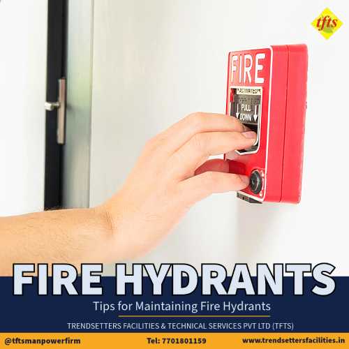best fire hydrant maintenance services in delhi_tfts